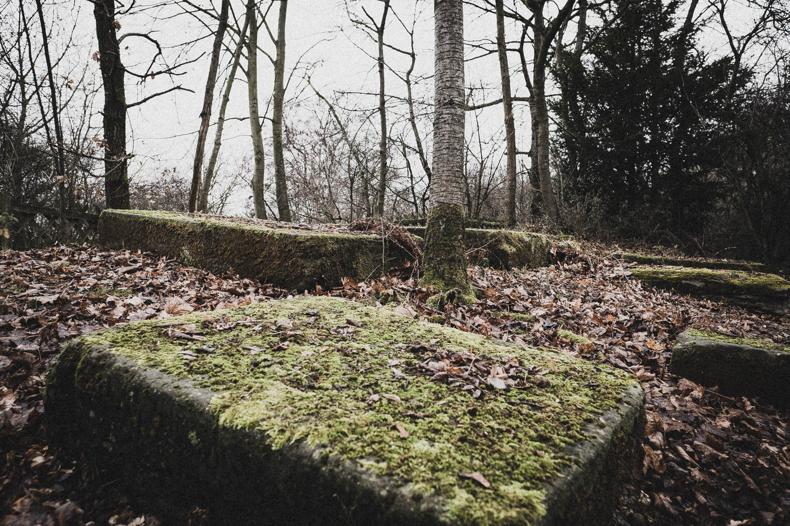 Bovenden, Jüdischer Friedhof